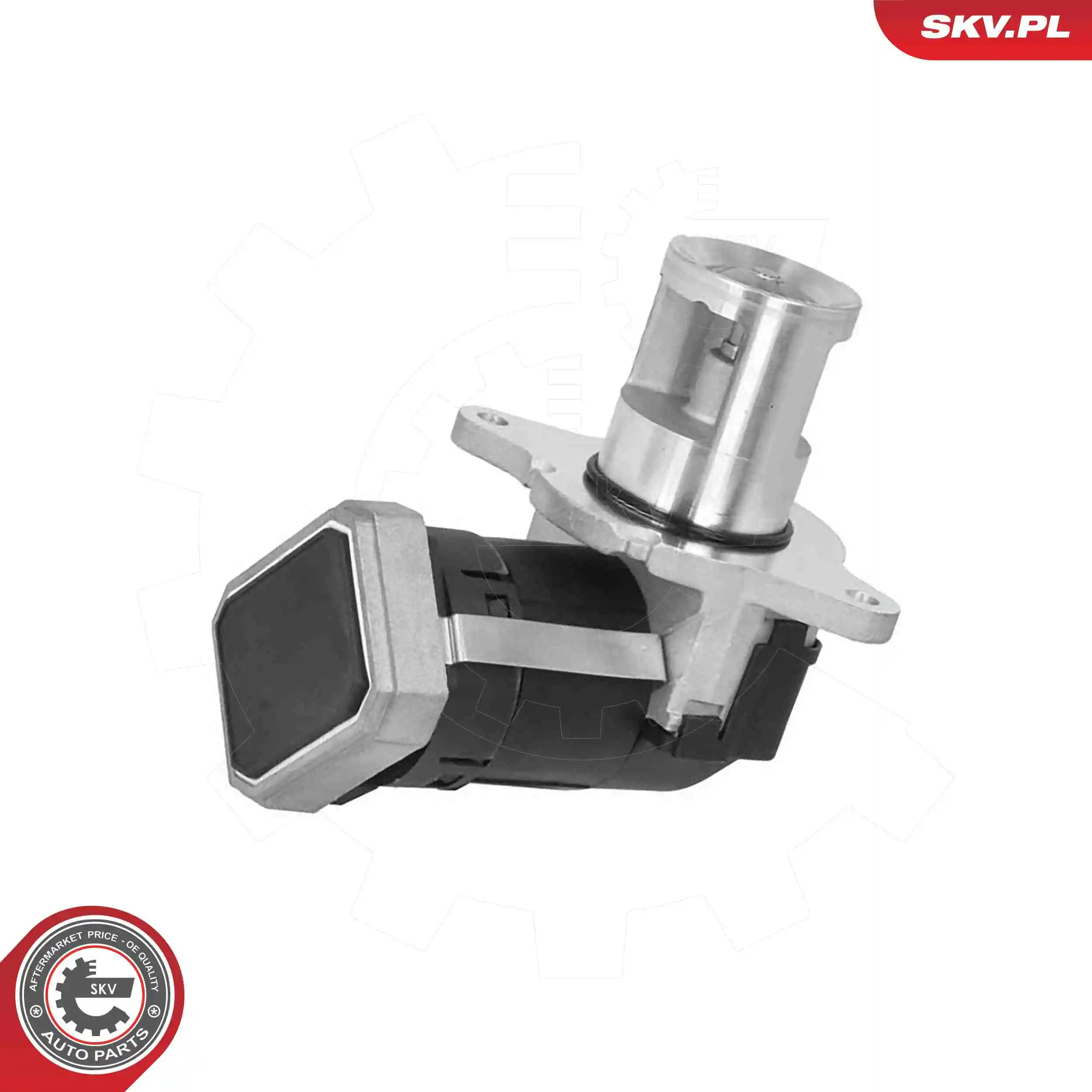 EGR Valve